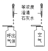 图片_x0020_100023
