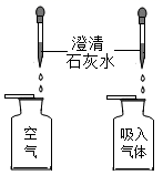 图片_x0020_2050874494
