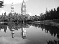 图片_x0020_100006