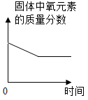 图片_x0020_100010