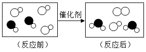 图片_x0020_100009