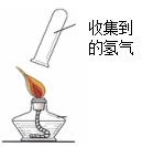 图片_x0020_100005