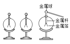 图片_x0020_783037898