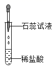 图片_x0020_100003