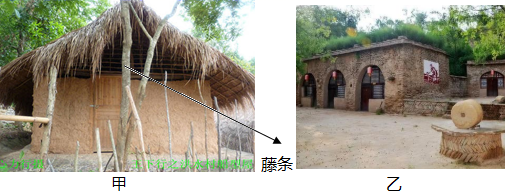 图片_x0020_29319916