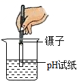 图片_x0020_100004