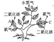 图片_x0020_1360760750