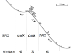 图片_x0020_100004