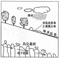 图片_x0020_100009