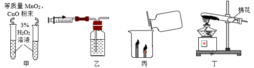 图片_x0020_100003