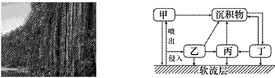 图片_x0020_100003