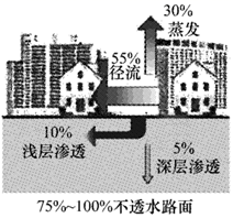 图片_x0020_100007