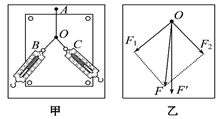 图片_x0020_100018