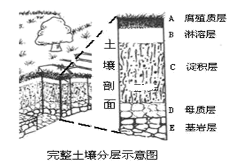 图片_x0020_2017741241