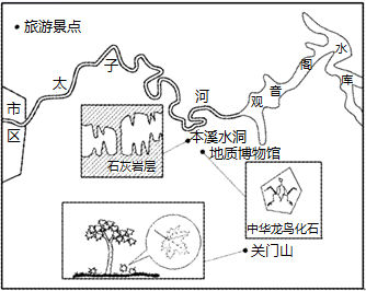图片_x0020_1947602465