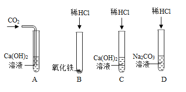 图片_x0020_100007
