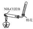 图片_x0020_100009