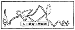 图片_x0020_100005