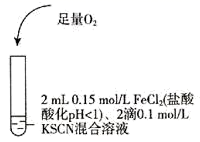 图片_x0020_774977378
