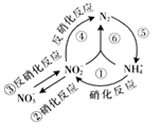 图片_x0020_100005
