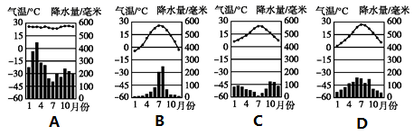 图片_x0020_100001