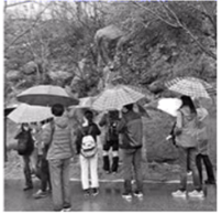 图片_x0020_1199108815
