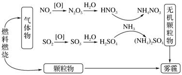图片_x0020_100018