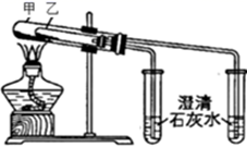 图片_x0020_100012