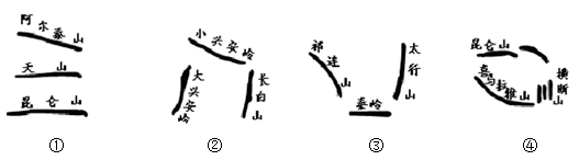 图片_x0020_1485831205