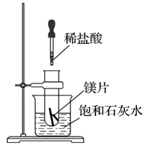 图片_x0020_100021