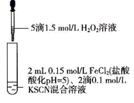 图片_x0020_1286278962
