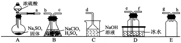 图片_x0020_100012