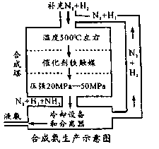 图片_x0020_100002