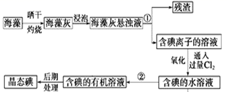 图片_x0020_100016