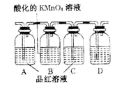 图片_x0020_100012