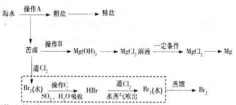 图片_x0020_100023