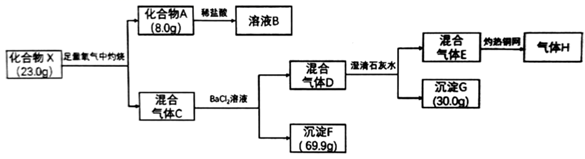 图片_x0020_100018