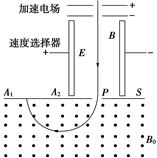 图片_x0020_100010