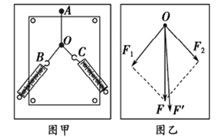 图片_x0020_100027