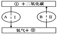 图片_x0020_100015