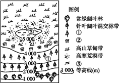 图片_x0020_100011