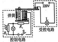 图片_x0020_100020