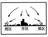 图片_x0020_100020