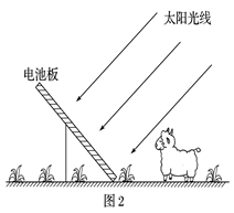 图片_x0020_100019