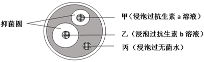 图片_x0020_100010
