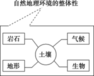图片_x0020_355117264