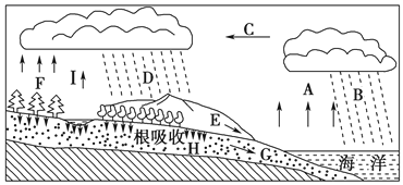 图片_x0020_100011