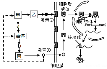 图片_x0020_716036751