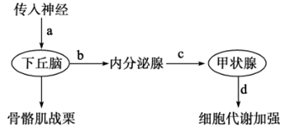 图片_x0020_100001