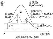 图片_x0020_100009